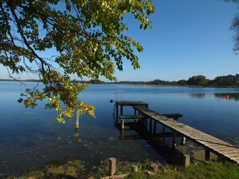 Schaalseeblick Zarrentin am Schaalsee Exteriör bild